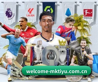 mk体育官方网站 APP